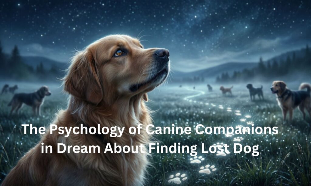 the-psychology-of-canine-companions-in-dream-about-finding-lost-dog
