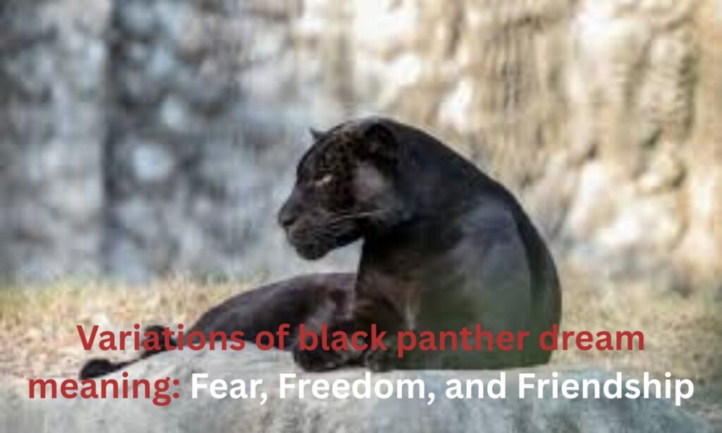variations-of-black-panther-dream-meaning-fear-freedom-and-friendship