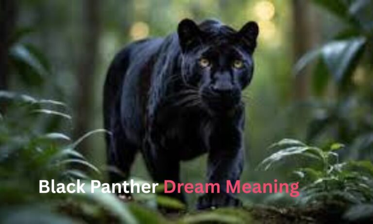 black-panther-dream-meaning