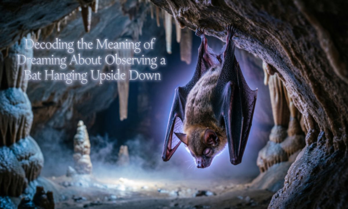 decoding-the-meaning-of-dreaming-about-observing-a-bat-hanging-upside-down